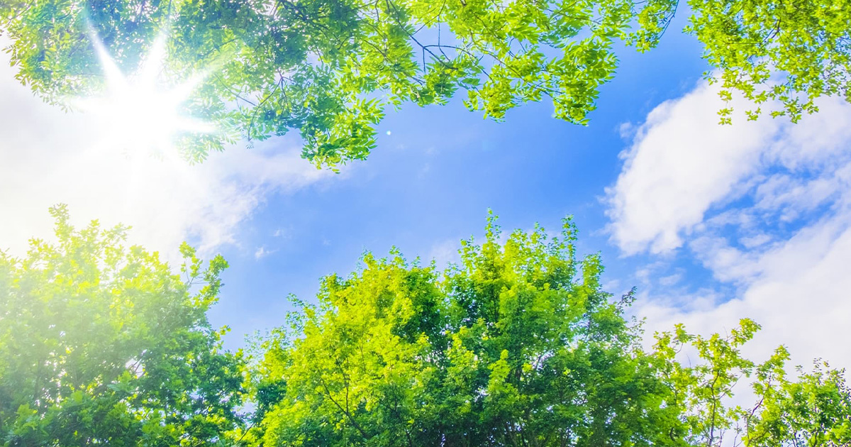 有限会社 三栄技研イメージ画像